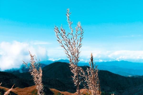 新農(nóng)合醫(yī)保網(wǎng)上繳費怎么交？可以查詢繳費記錄嗎？
