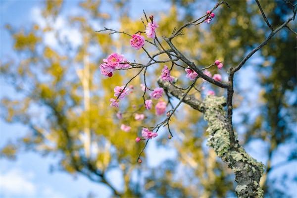 交了社保是不是等于交了醫(yī)保？為什么很多人不交醫(yī)保？