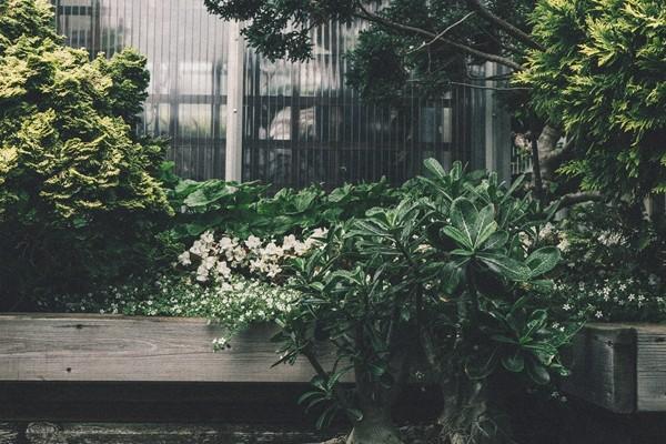 如何查自己的企業(yè)年金？要注意哪些事項(xiàng)？