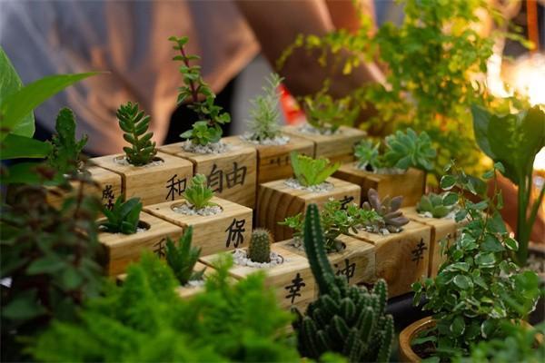 哪個(gè)保險(xiǎn)公司的年金險(xiǎn)比較好？一年多少錢？
