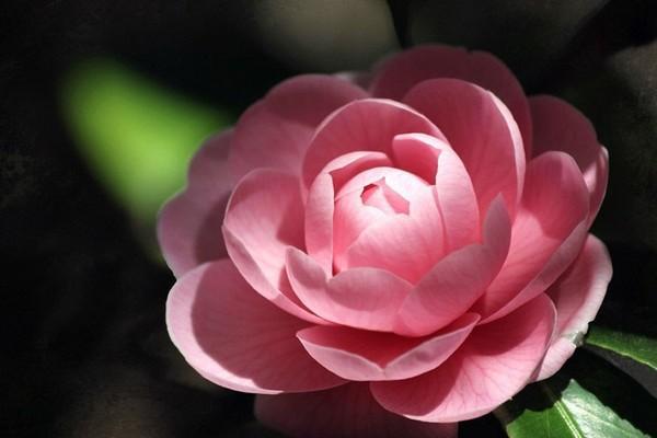 意外險怎么買合適？選擇什么產(chǎn)品好？