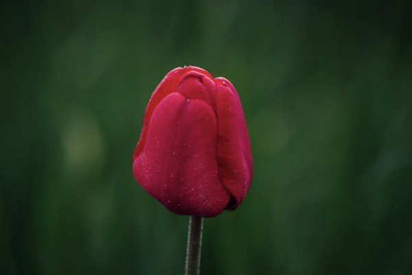 人壽保險(xiǎn)100元意外險(xiǎn)賠償明細(xì)包括哪些？需要多久？