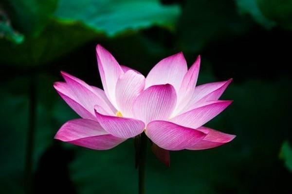 對方全責不配合理賠怎么辦？起訴流程是怎樣的？