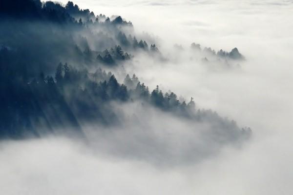 養(yǎng)老保險(xiǎn)交15年和20年的區(qū)別