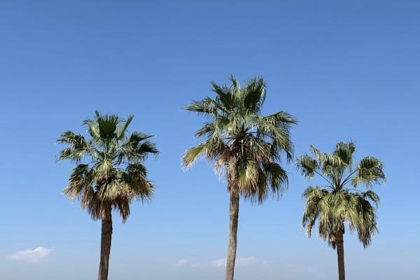 保險(xiǎn)公司哪家口碑最好？排名前十的有哪些？
