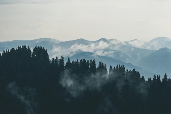 養(yǎng)老保險繳費查詢有哪些方式？繳費多久可以領(lǐng)錢？