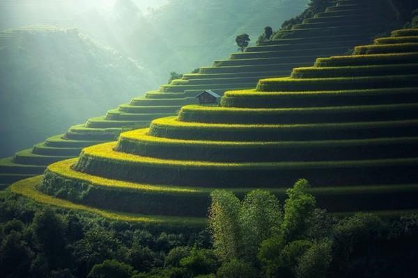 車險報案時千萬不能說的話是什么？應(yīng)該注意哪些事項？
