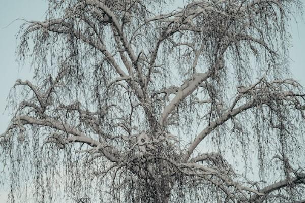 保險(xiǎn)公司骨折一般怎么理賠？要哪些資料？