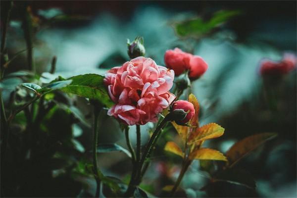 養(yǎng)老保險(xiǎn)交30年退休每月拿多少？與哪些因素有關(guān)？