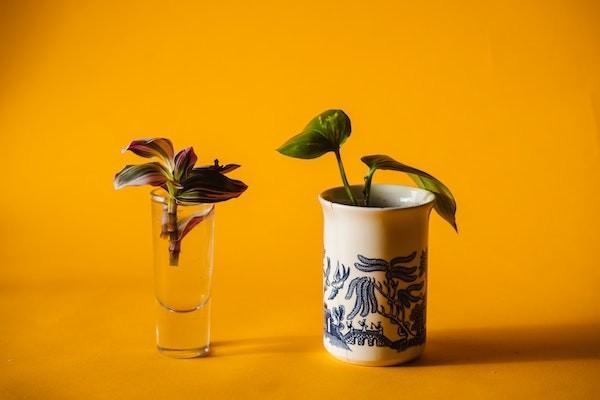 社保怎么自己繳費(fèi)？最少交多少年？