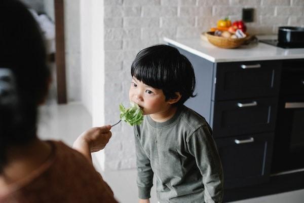 保險人和被保險人是什么意思？保險人可否隨意解除保險合同？