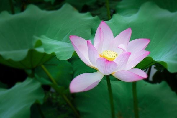 如何控制養(yǎng)老理財(cái)?shù)娘L(fēng)險(xiǎn)？養(yǎng)老理財(cái)推薦哪些產(chǎn)品？