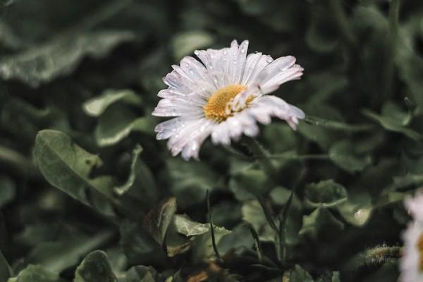 社保個人交好還是公司代繳好？一個月要交多少錢？