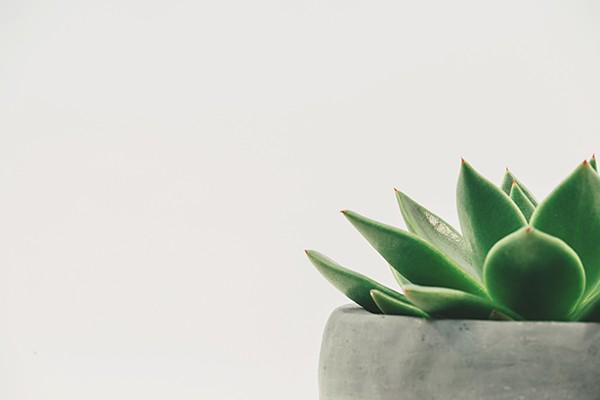 平安保險(xiǎn)人身意外險(xiǎn)多少錢一年？去哪里買？