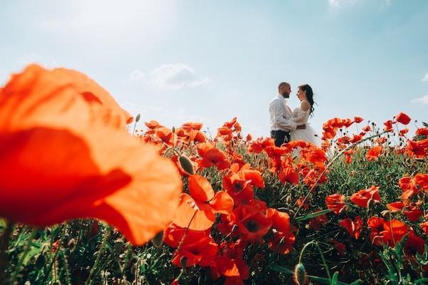 國壽鑫福年年養(yǎng)老年金保險保障內(nèi)容有哪些？保費貴嗎？