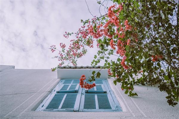 分紅保險可靠嗎？到期了可以拿回本金嗎？