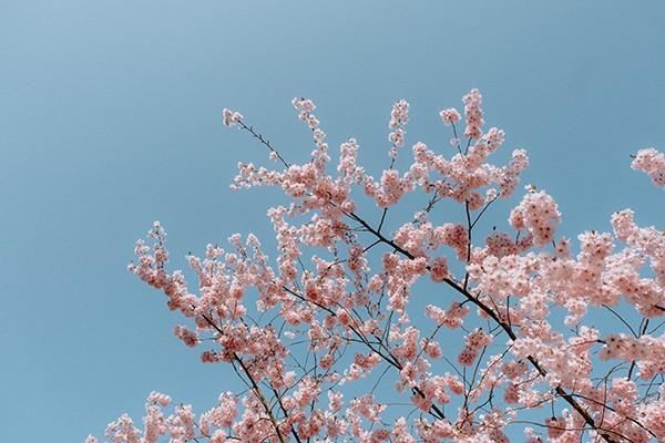 為什么不建議買理財(cái)保險(xiǎn)？應(yīng)該如何選擇？