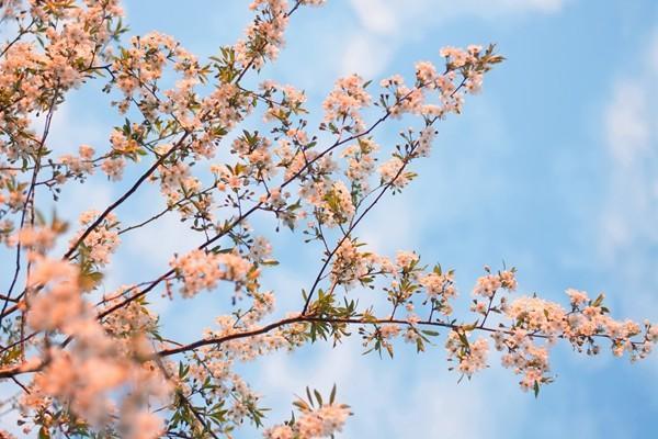 復(fù)利3.5%的保險值得買嗎？這種保險有什么優(yōu)點？