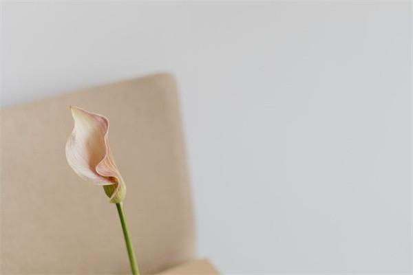 普通意外險(xiǎn)多少錢一年？可以買多份嗎？