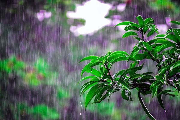 大家財(cái)產(chǎn)保險(xiǎn)公司怎么樣？有哪些險(xiǎn)種？