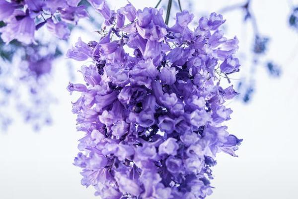 樂享年年增額終身壽險(xiǎn)有哪些優(yōu)點(diǎn)？購(gòu)買時(shí)要注意什么？