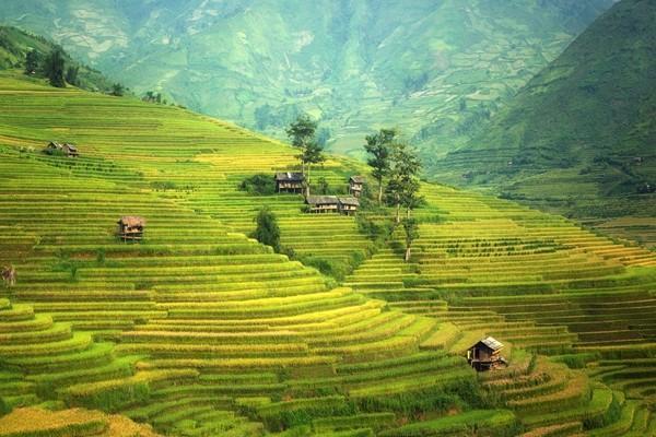 銀行購買的保險理財安全嗎？有風(fēng)險嗎？