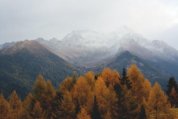 意外險(xiǎn)的理賠范圍是什么？是怎么理賠的？
