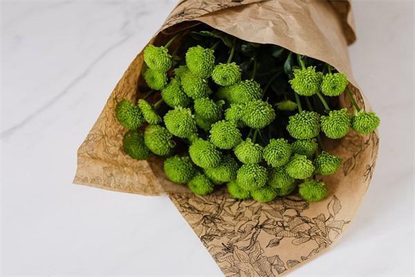 家財(cái)險(xiǎn)都保什么？有必要買嗎？