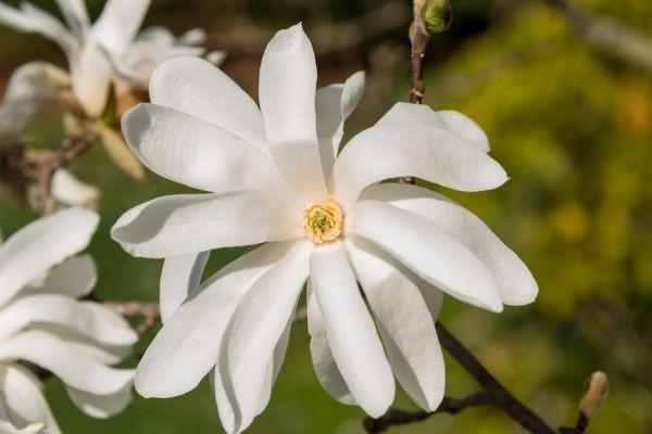 太平金生恒贏年金保險有什么優(yōu)點？值得買嗎？