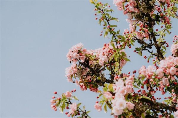 保險不理賠找哪個投訴部門？投訴有用嗎？