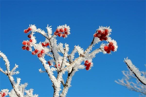 保險(xiǎn)分紅怎么計(jì)算