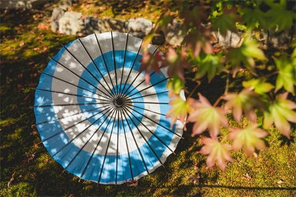 保險(xiǎn)公司不給理賠我應(yīng)該怎樣投訴？投訴有用嗎？