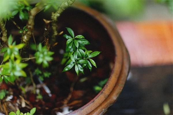 意外險個人怎么買？買哪種最好？