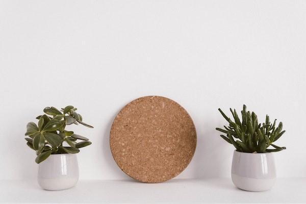 是買重疾險(xiǎn)好還是百萬(wàn)醫(yī)療好？哪個(gè)更便宜？
