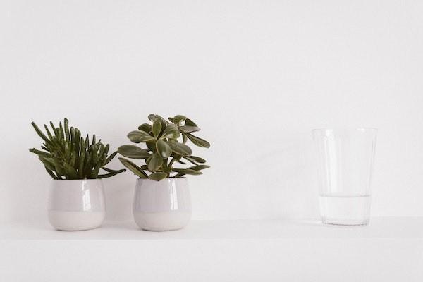 百萬醫(yī)療和重疾險(xiǎn)有必要都買嗎？為什么重疾險(xiǎn)貴這么多？