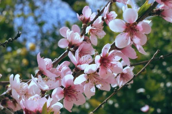 短期建筑工人意外險(xiǎn)有必要嗎？在哪里買？