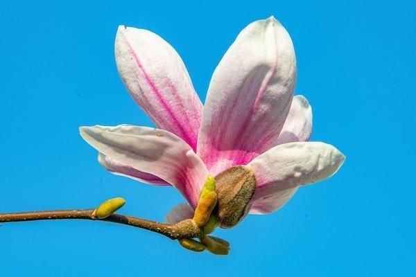銀行個人養(yǎng)老金賬戶是什么意思呢？個人養(yǎng)老金賬戶能開幾個？