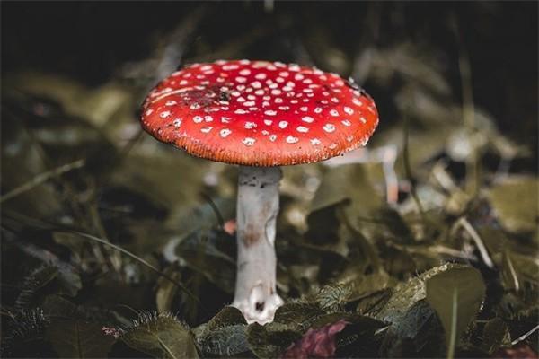 五險一金都包括什么？有什么用？