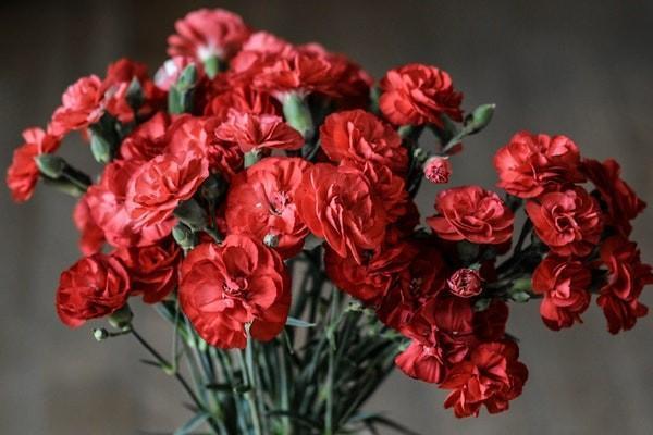太平金生恒贏年金保險(分紅型)有哪些優(yōu)點？承保公司怎么樣？