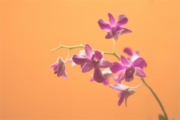 好醫(yī)保長期醫(yī)療20年版保費