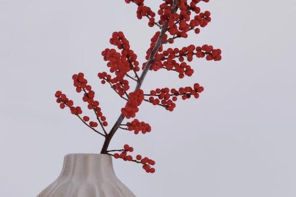 瑞祥人生增額終身壽險(xiǎn)是哪家保險(xiǎn)公司？產(chǎn)品怎么買？
