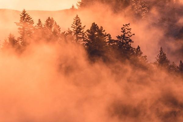 太保安享百萬醫(yī)療險怎么樣？買的人多嗎？