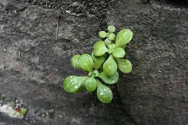 保險公司賣的理財險可靠嗎？分為哪幾種？