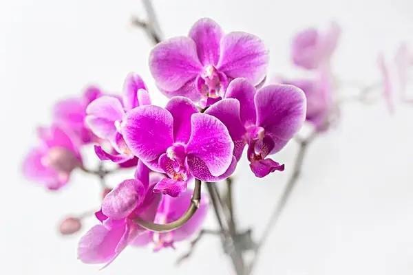 元保百萬(wàn)醫(yī)療險(xiǎn)每月交多少錢？值得購(gòu)買嗎？
