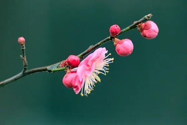 理財(cái)險(xiǎn)投保人身故怎么辦？死亡后保險(xiǎn)能退嗎？