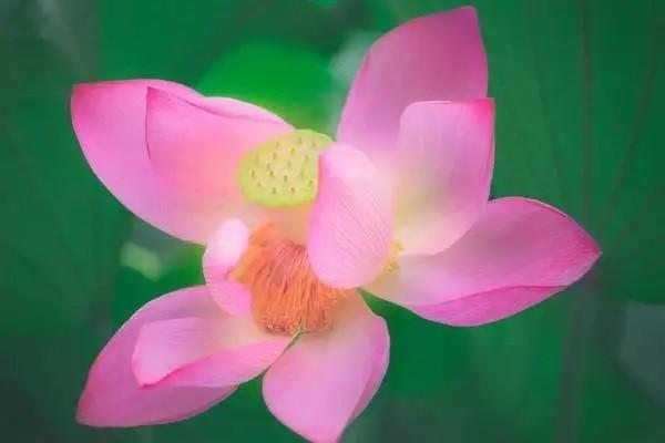 郵局理財(cái)保險(xiǎn)安全嗎？適合哪些人買？
