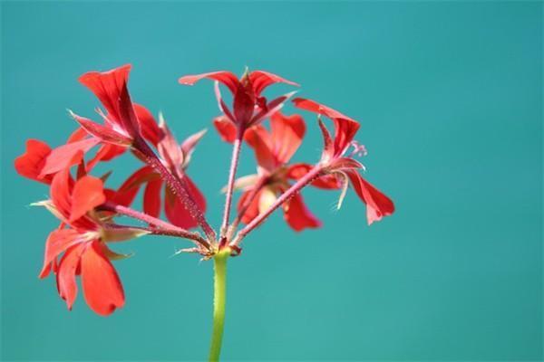 泰康人壽養(yǎng)老年金保險(xiǎn)產(chǎn)品都有哪些？值得購買嗎？