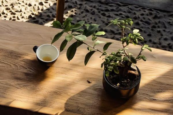 尊享世家終身壽險是哪家保險公司的？值得購買嗎？
