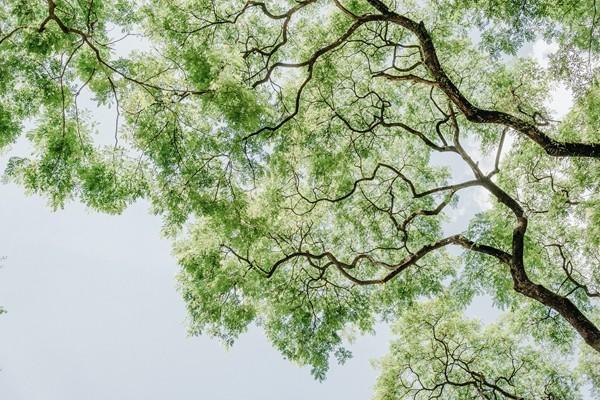 養(yǎng)老保險中斷是不是白交了？社保中斷怎么補交？