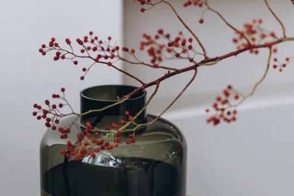 駕乘險(xiǎn)和座位險(xiǎn)買哪個(gè)比較好？可以同時(shí)買嗎？